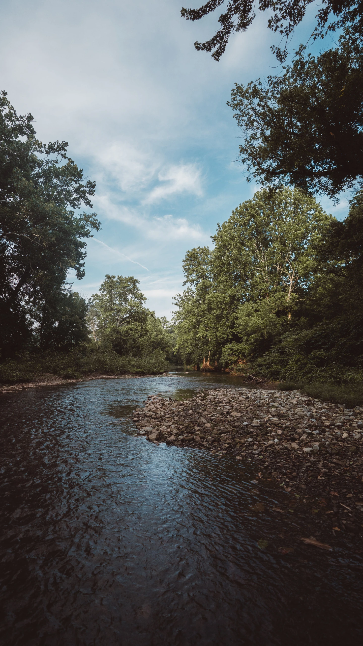 water in the distance with trees on either side