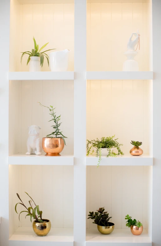 three white shelves with plant pots on them