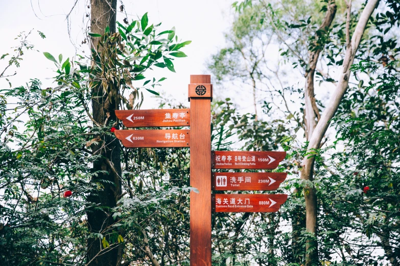there is a sign in the woods that tells you what direction to go