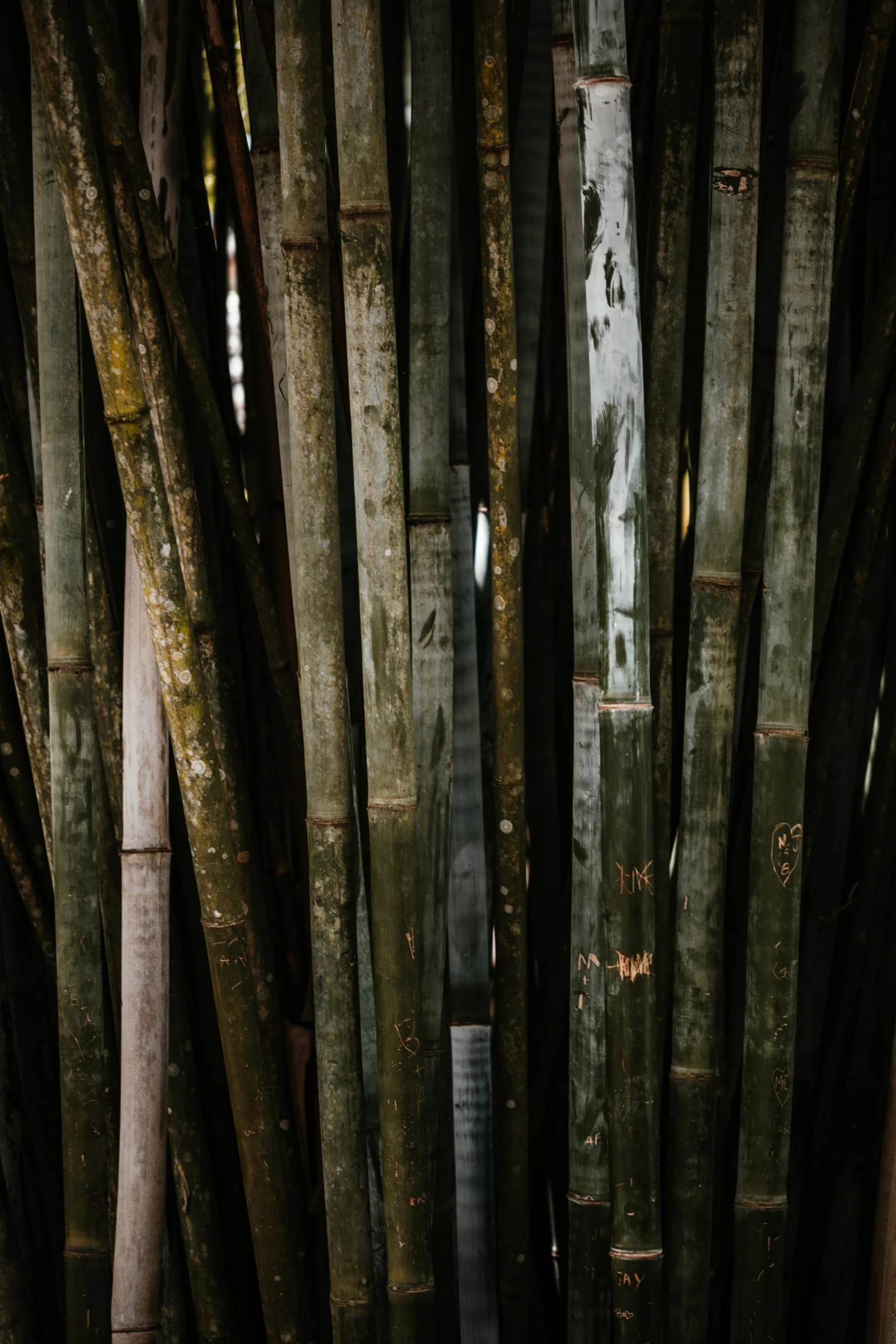 a wooden building with some old wood floors