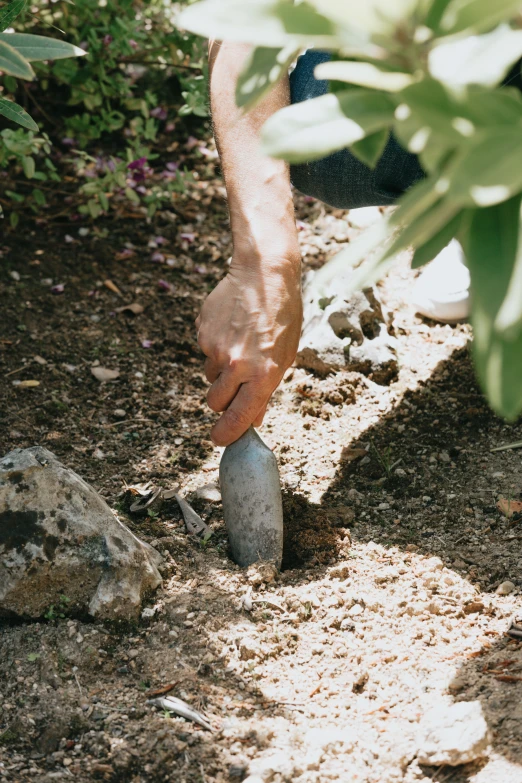 a person is working with some plants in the dirt