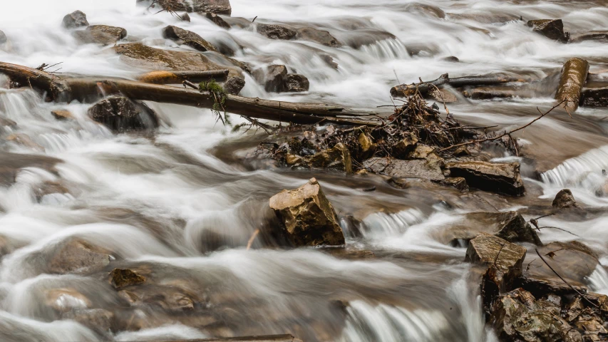 stream with flowing rocks, trees and water