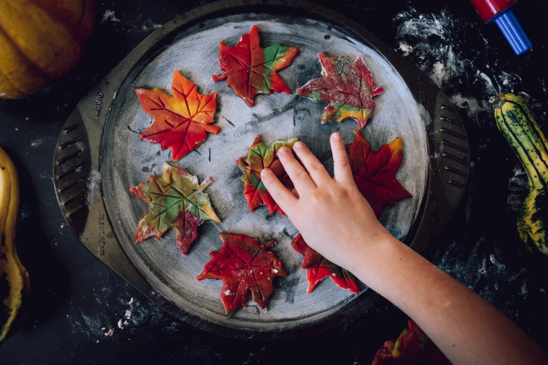 a child making a pattern with leaf shapes