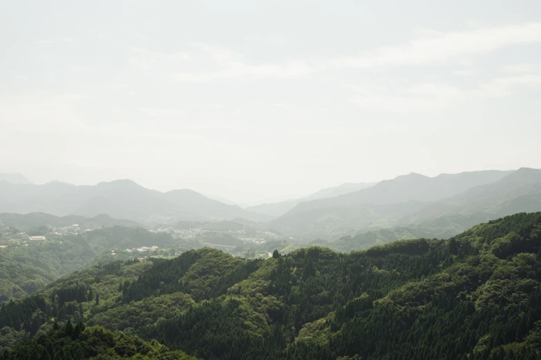 the hills have trees and houses in them