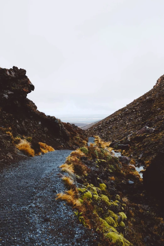 a path leading into the distance with mountains on each side