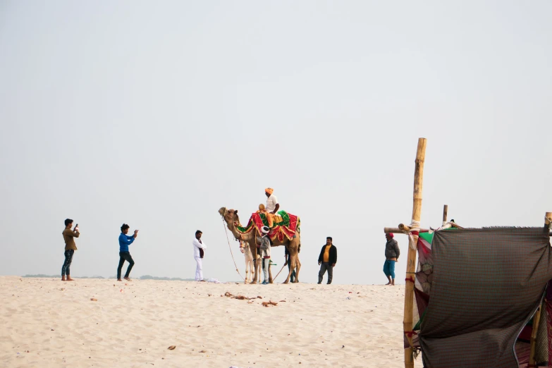 several people standing next to a tent and a camel