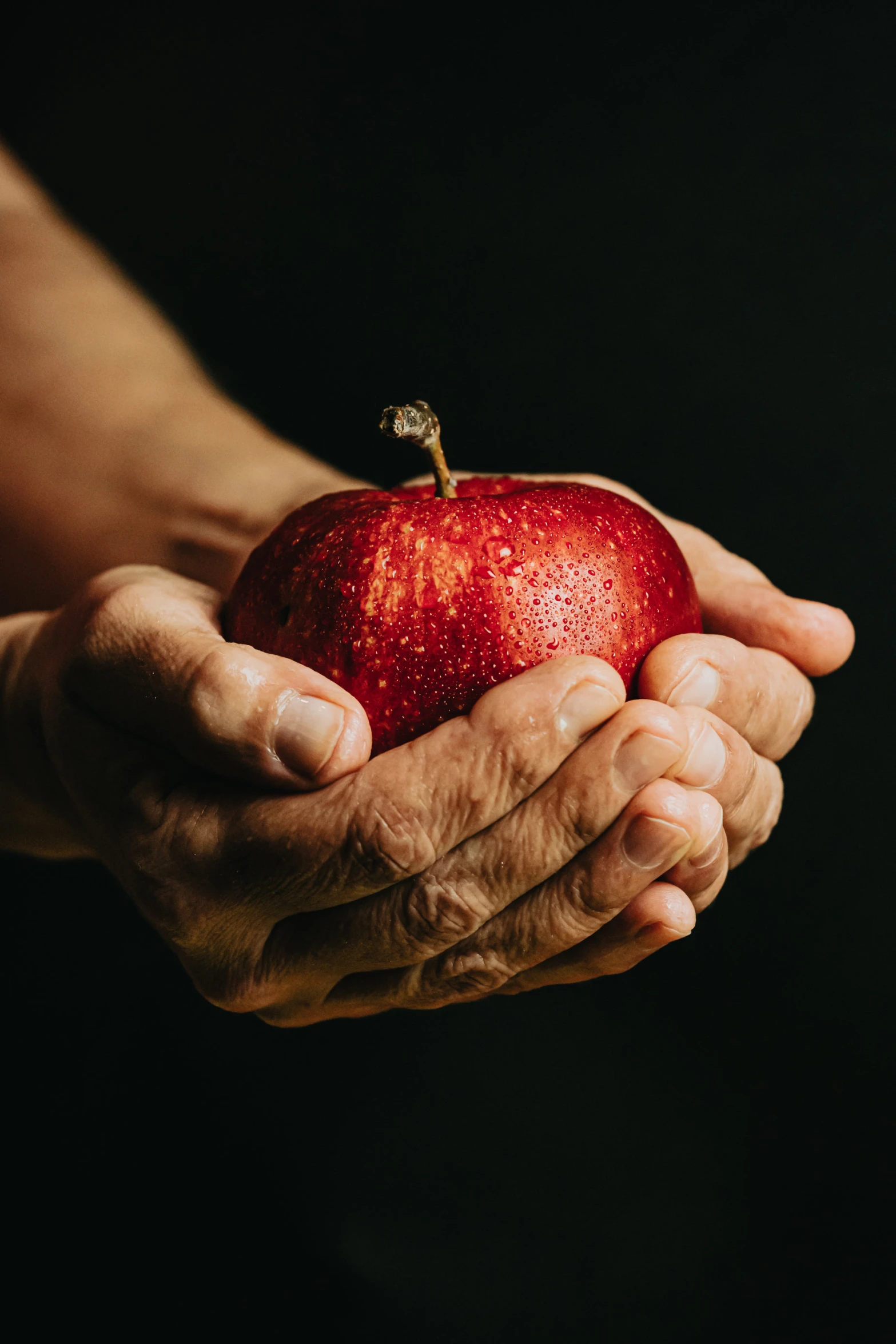 a person holding an apple in their hands