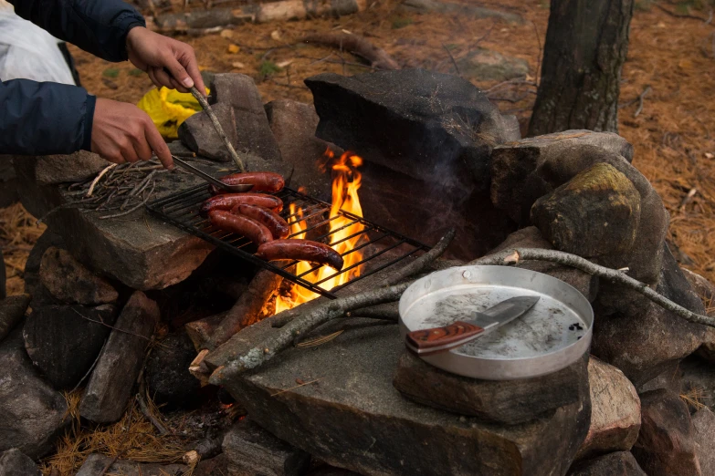 a barbecue is made with  dogs and a grill