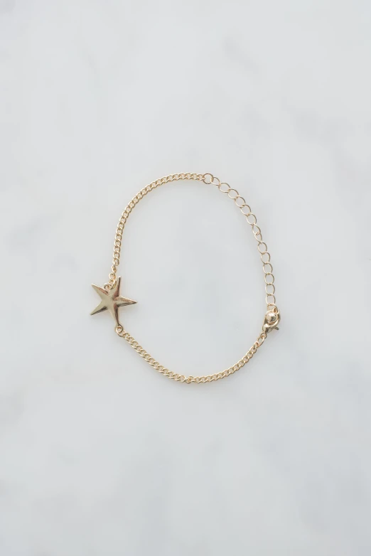 the charm celet has an animal charm on it and a starfish clasp