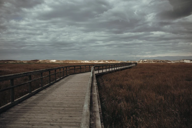 a long wooden walkway through an open field