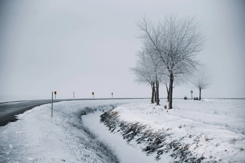 snowy landscape along a rural road surrounded by trees