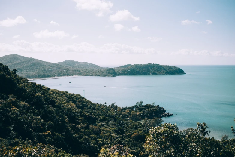 an image of a body of water that is surrounded by forest