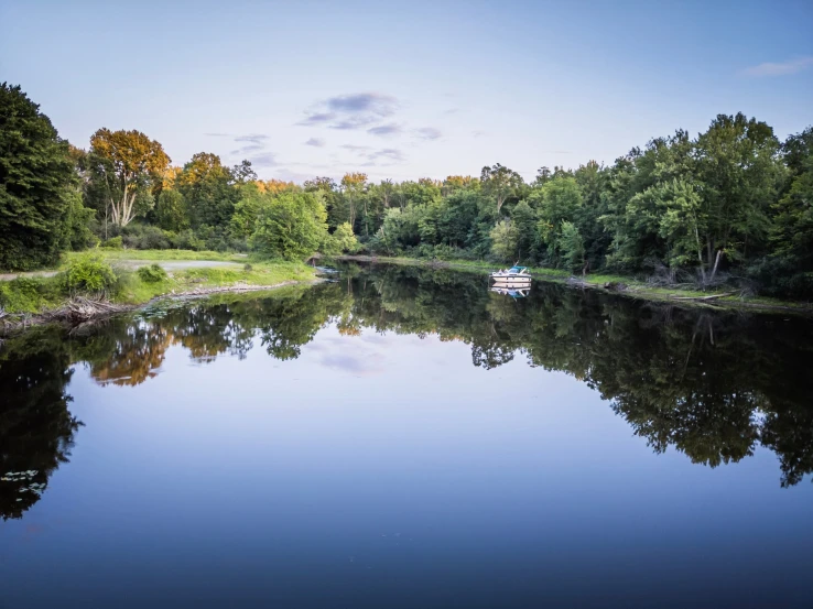 a boat floating in a river near forest