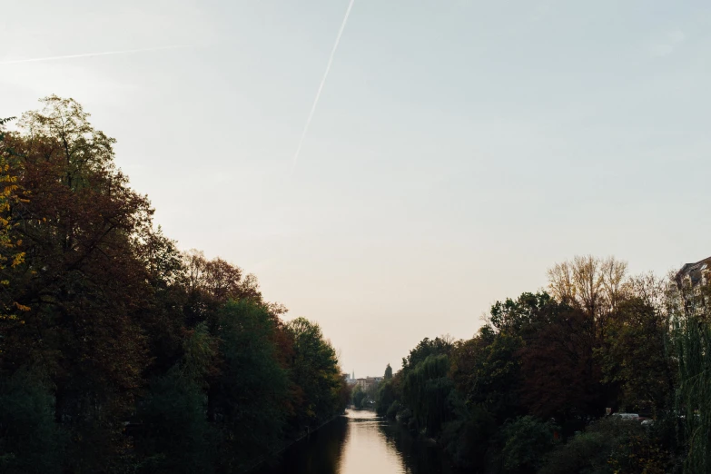 a canal flowing through a lush green forest filled forest