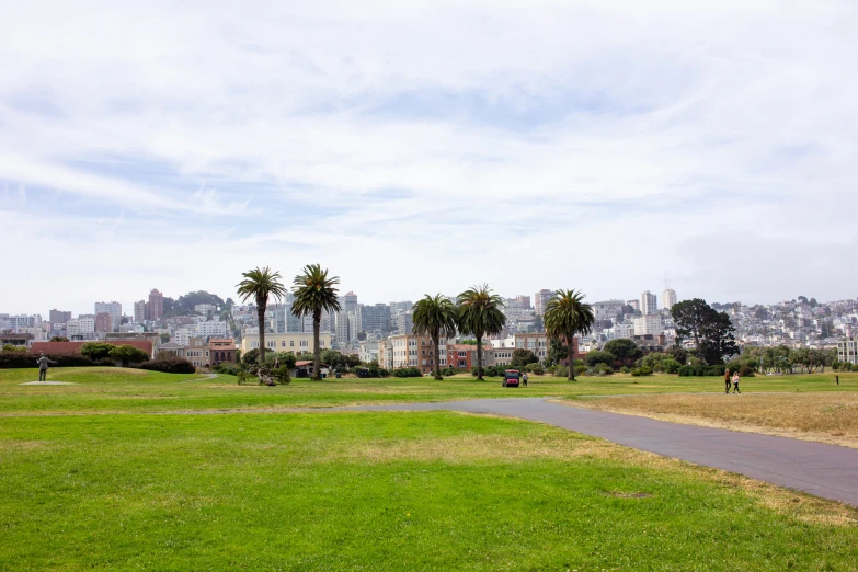 a bench is in the foreground of a park with a small pathway in front