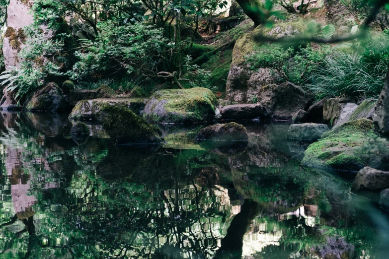 rocks and plants surround a small lake in the forest