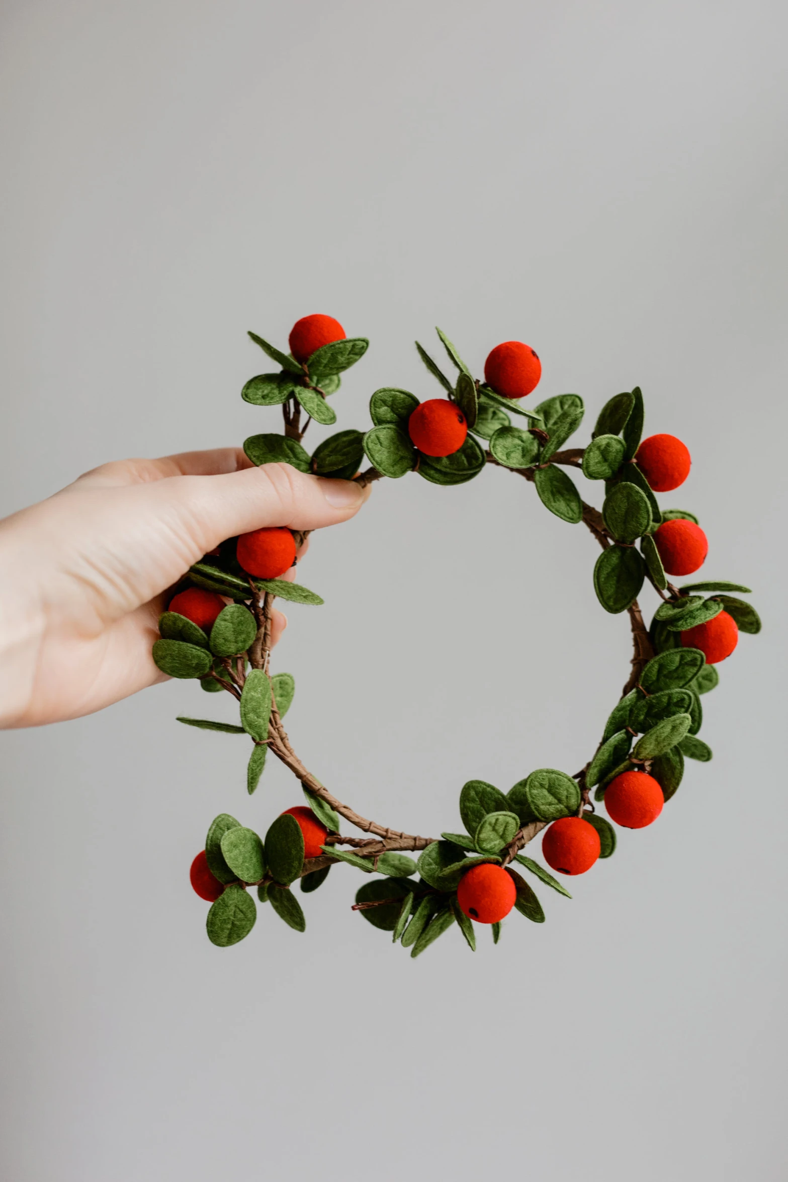 a hand holding a twig with red berries