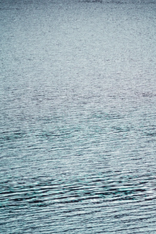 a body of water with a plane flying in the sky