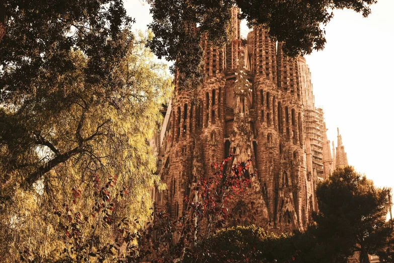 a tall building that has trees next to it