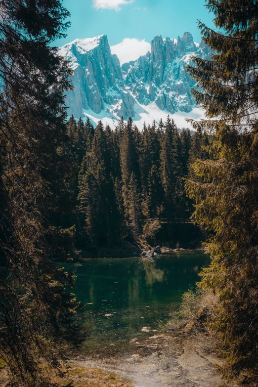 a river running through a forest next to a mountain