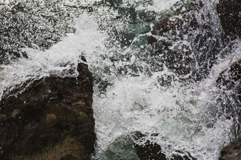 a close - up po of an area with a large body of water