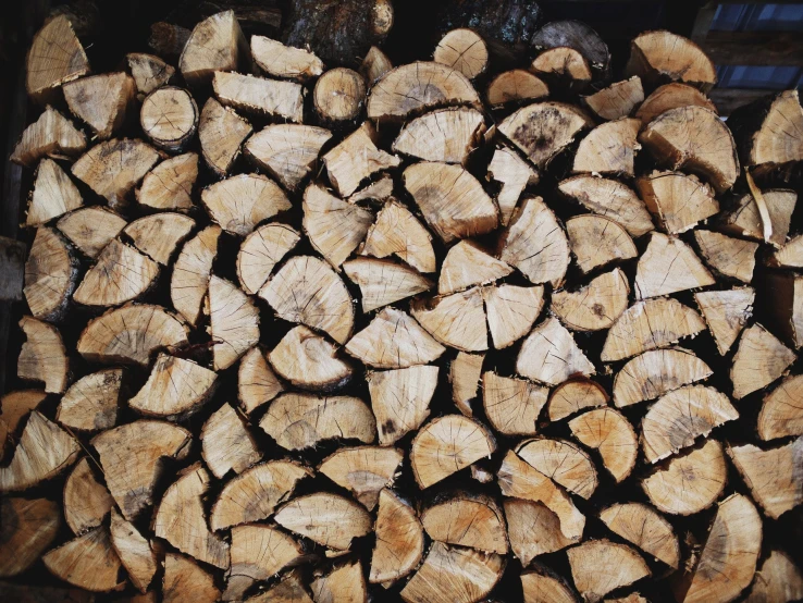 logs of cut wood sitting in front of a truck
