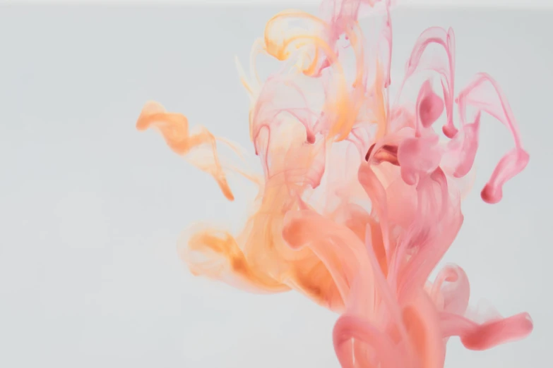 orange pink and yellow dye swirling in water