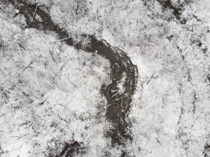 a black and white po of the terrain that looks like ice
