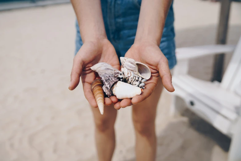 a person holds sea shells in their hands