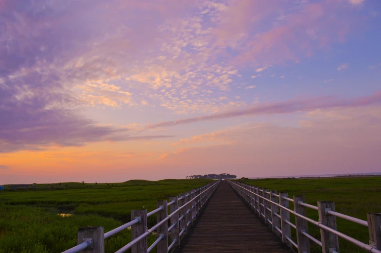 a wooden walkway leads to the distance on a grassy field