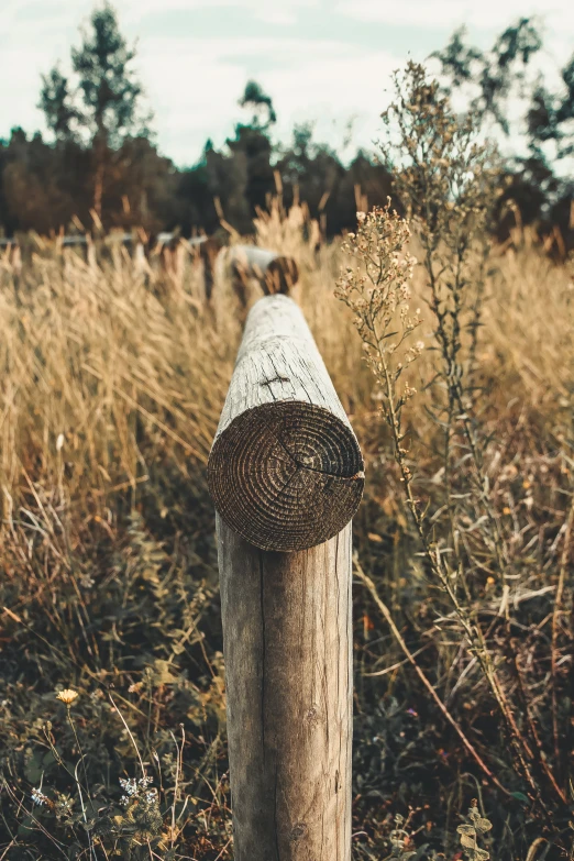 the post of a fence has a wicker wrapped around it