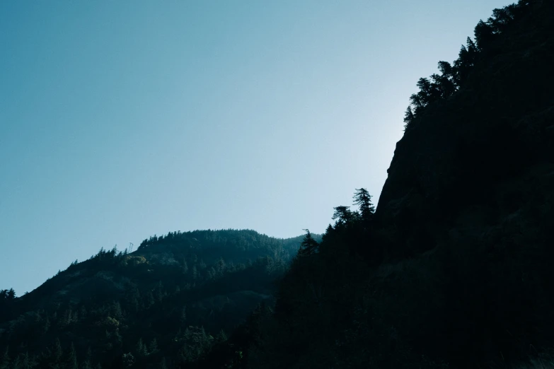 a mountain side with lots of tall trees on it