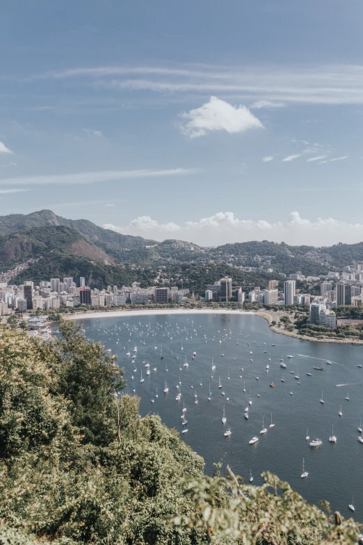 birds flying over the water of a city bay