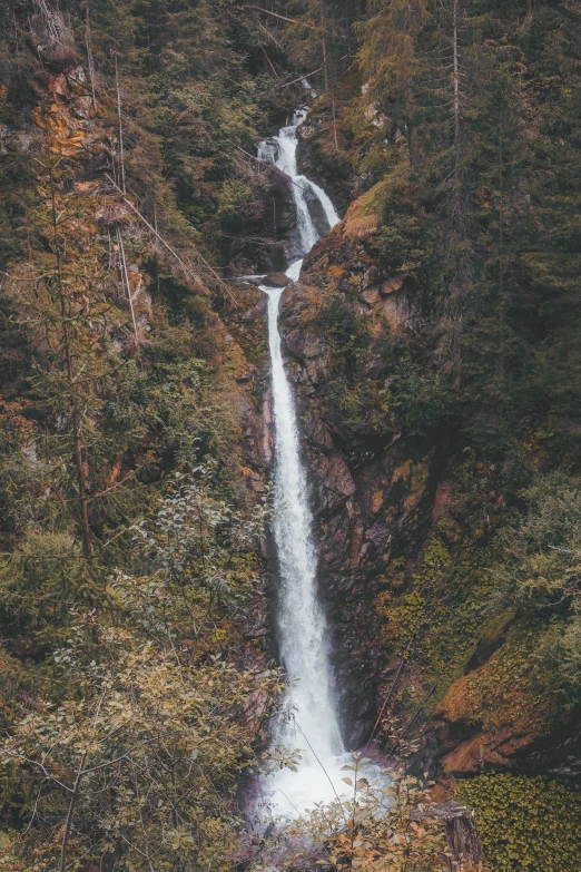 a large waterfall is surrounded by dense trees