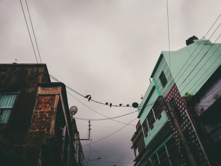 a building is shown with birds on top