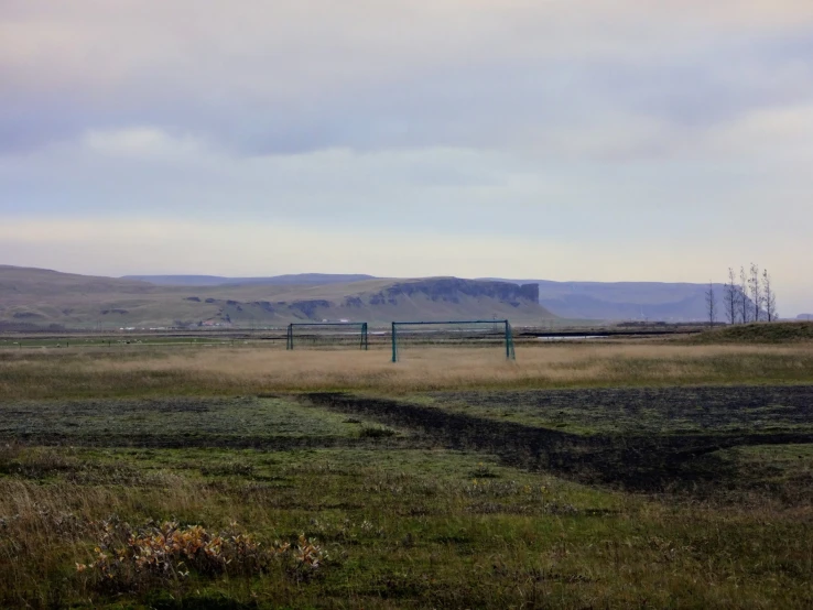 a green fence is in the middle of nowhere