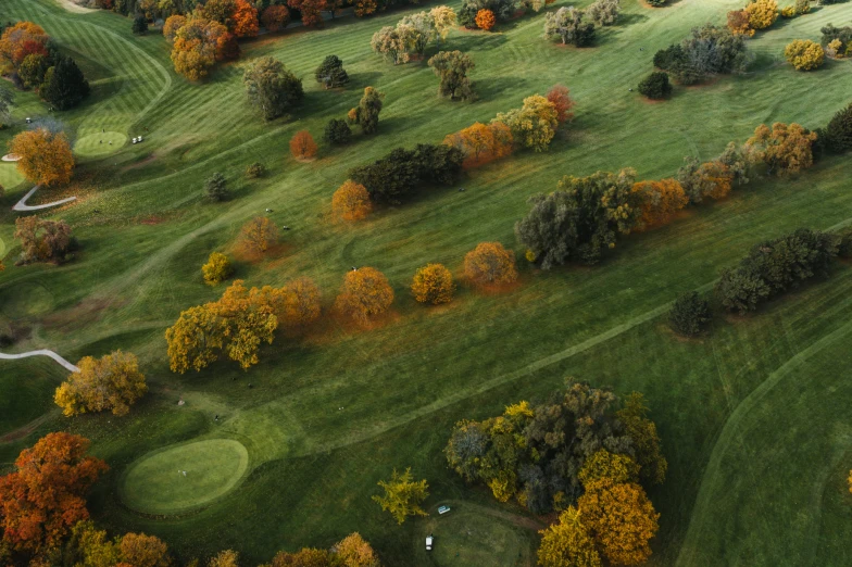 an aerial po shows a green with some golf courses and lots of trees