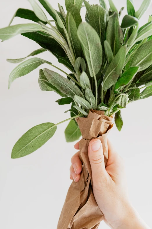 the bouquet is being held by the woman