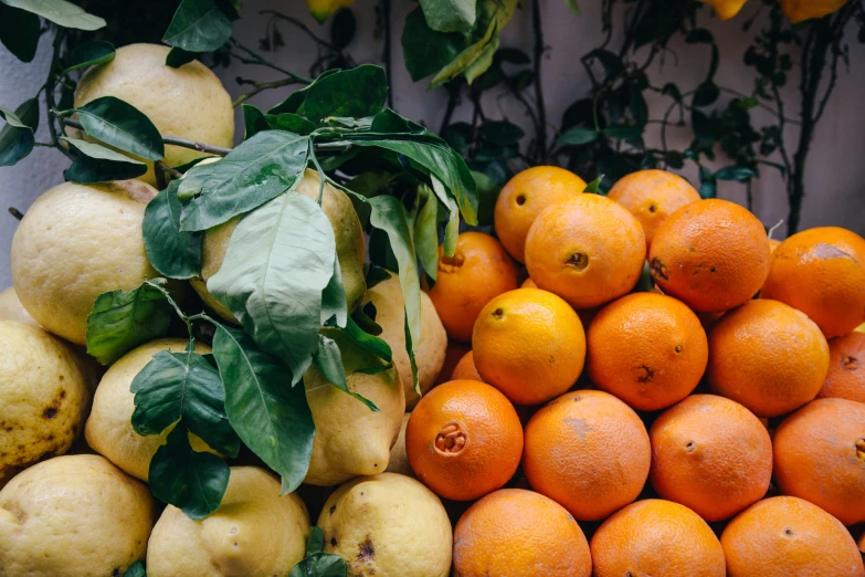 oranges are shown on the shelves with leaves