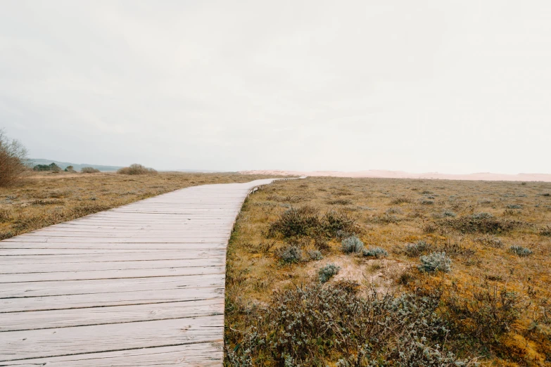 a long, wooden path in the middle of nowhere