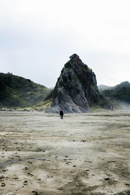 a person is walking alone in a open field