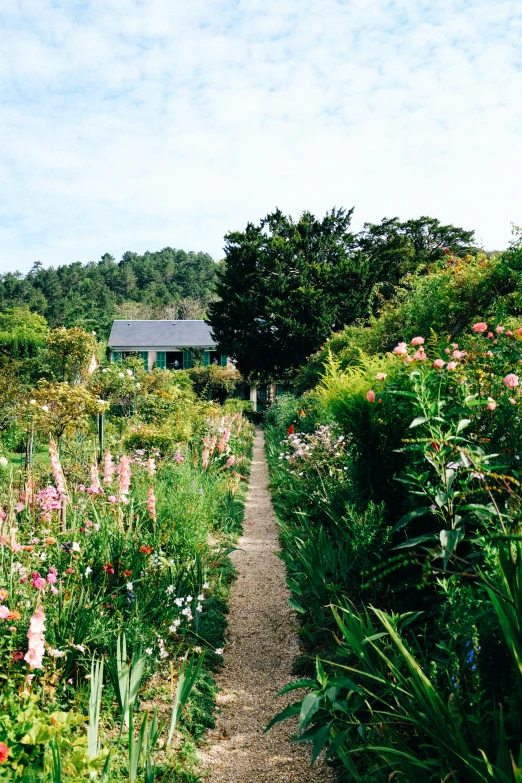 a small house in the middle of a garden