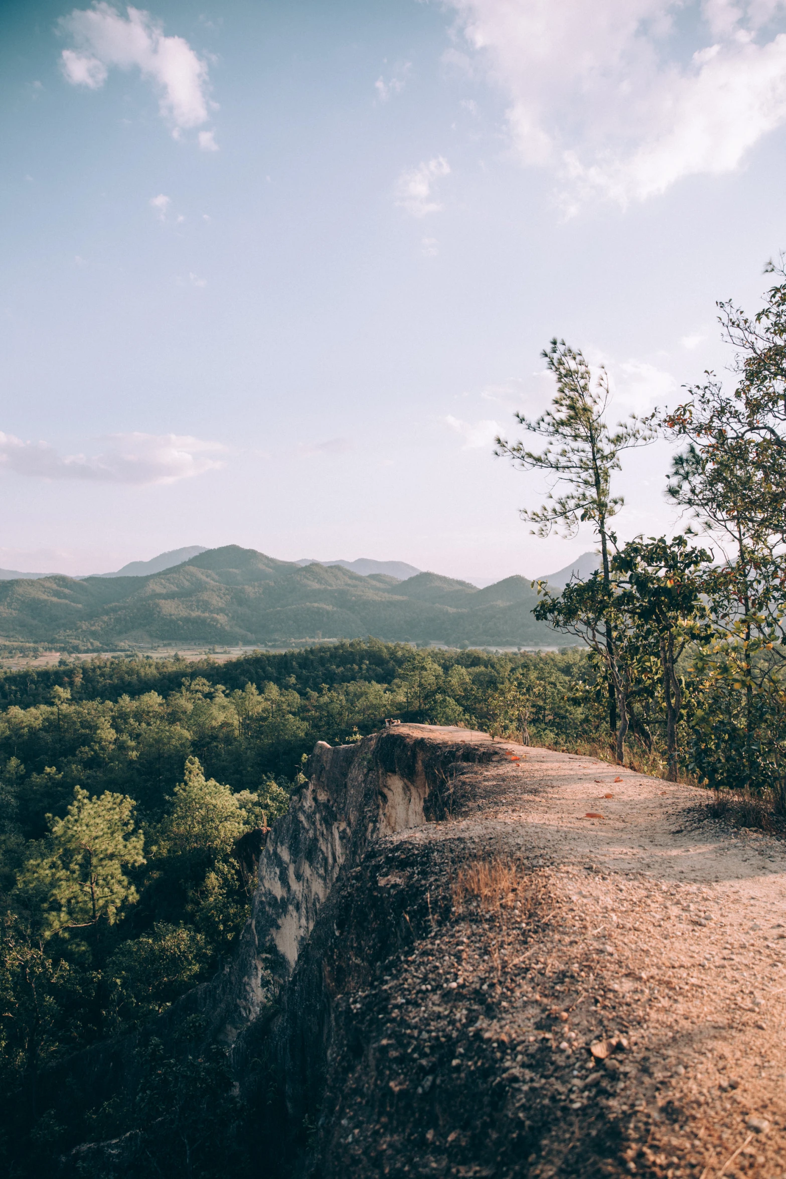 the view of a forest and a mountain is seen from an overlook point