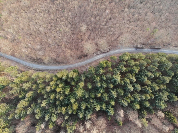 the view from above shows a road in the middle of trees