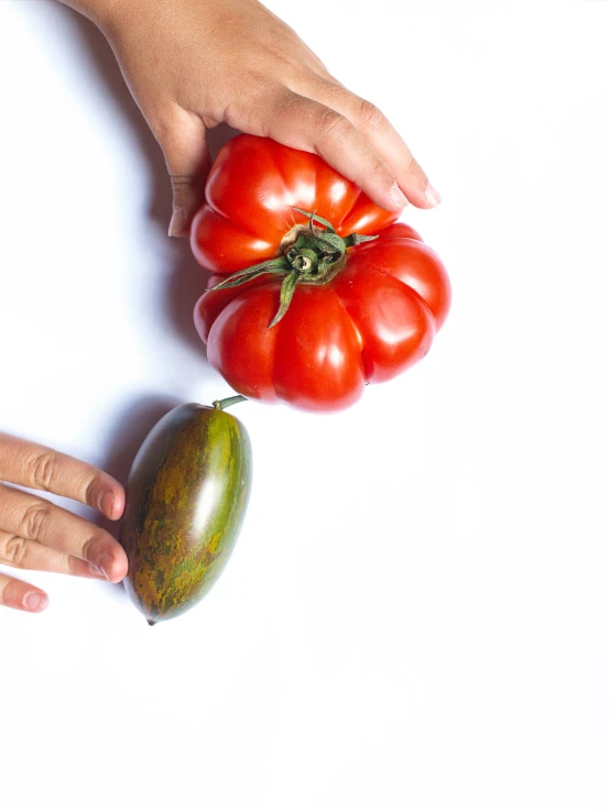 a hand reaches over a green tomato as it is separated