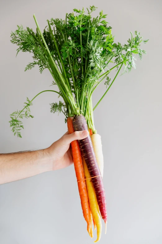 a person holding up a bunch of carrots in their hands