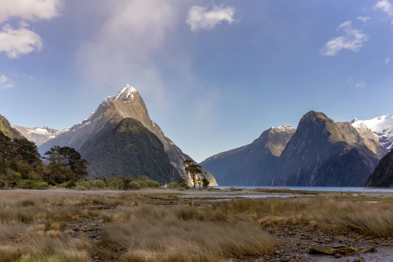 a beautiful landscape with mountains, shrubs and a body of water