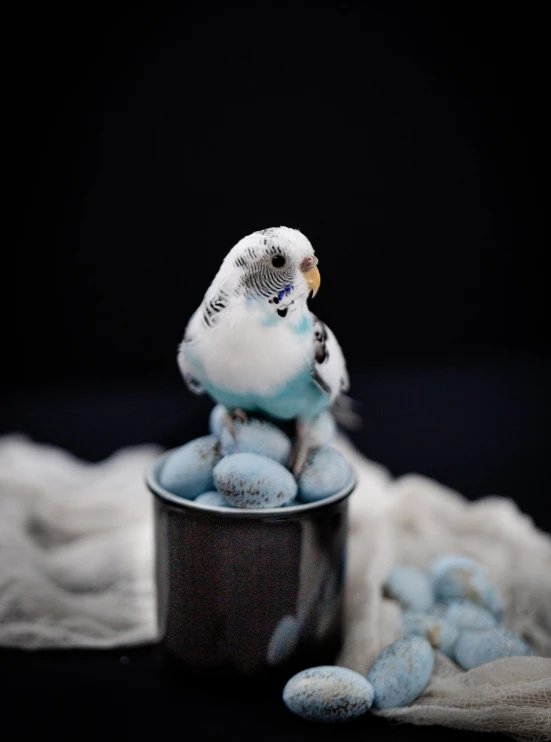 a small bird is sitting on some blue rocks