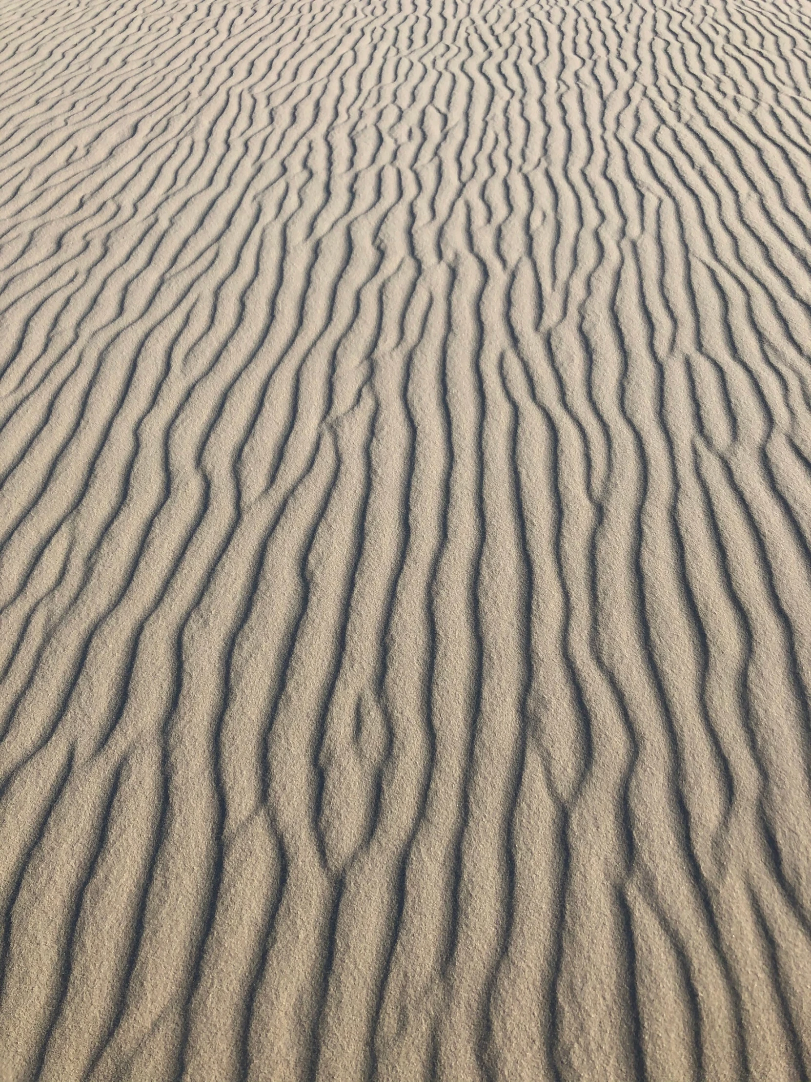 a very large group of lines that are in the sand