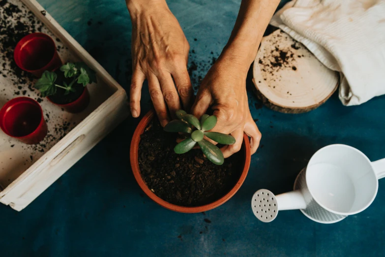 someone holding a plant in their hand over dirt